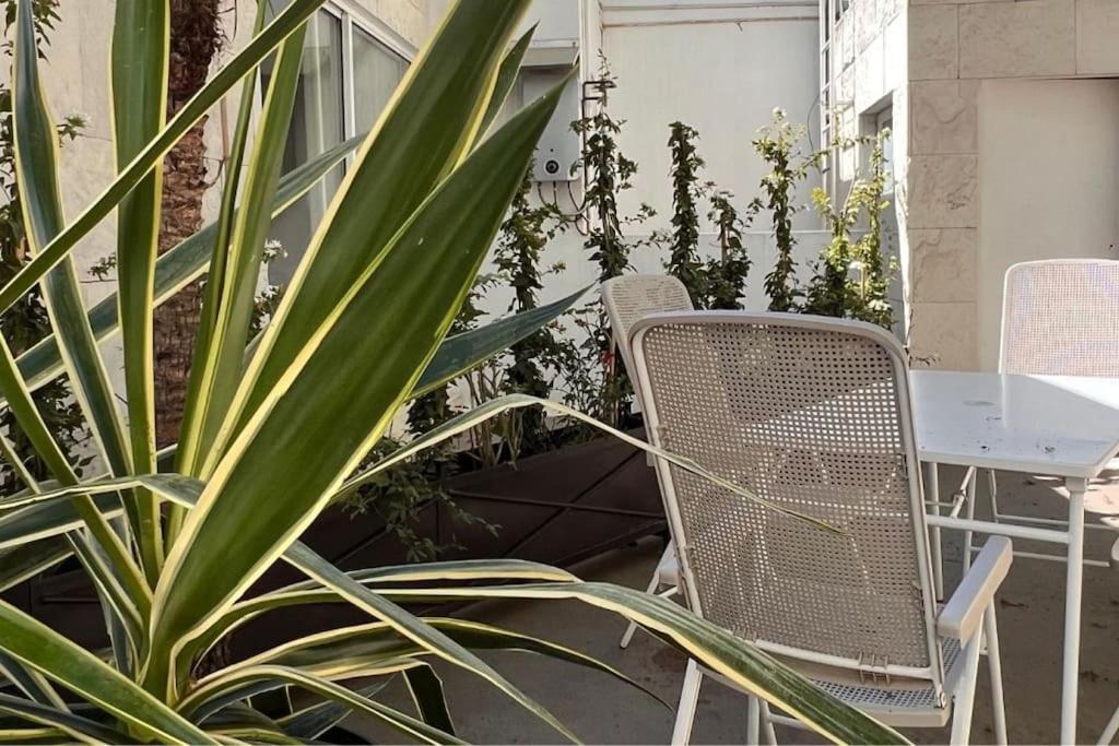 Condesa Residence Amsterdam D Sunny 2Bed 1Bath Apt In Condesa Meksika Dış mekan fotoğraf