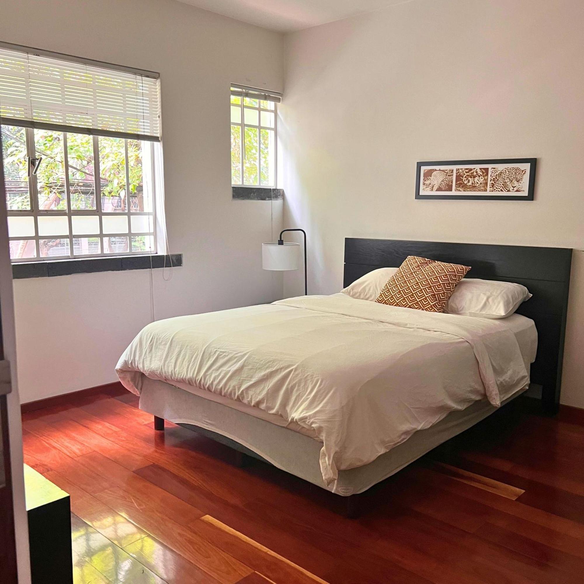 Condesa Residence Amsterdam D Sunny 2Bed 1Bath Apt In Condesa Meksika Dış mekan fotoğraf